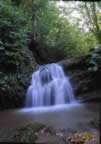 Un torrente nel Parco Faunistico (32kb)